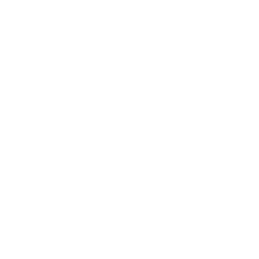 Solution Centric - White Icon